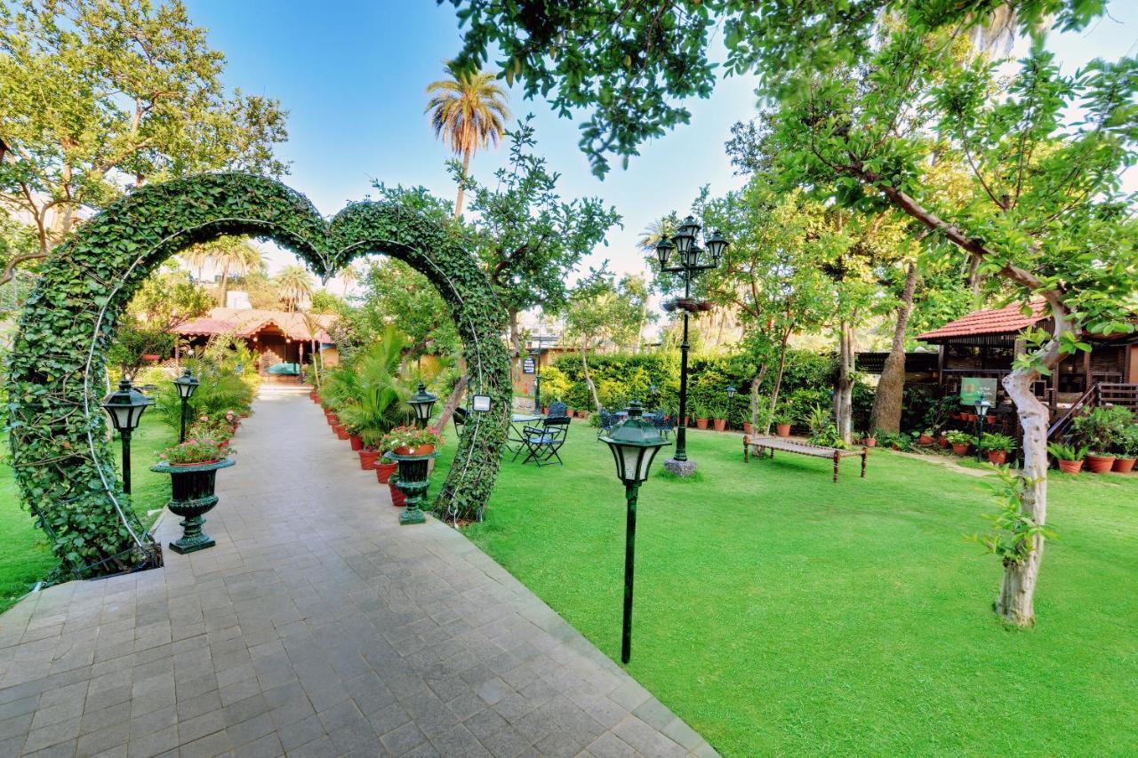 Chacha Inn The Garden Retreat Mount Abu Exterior foto